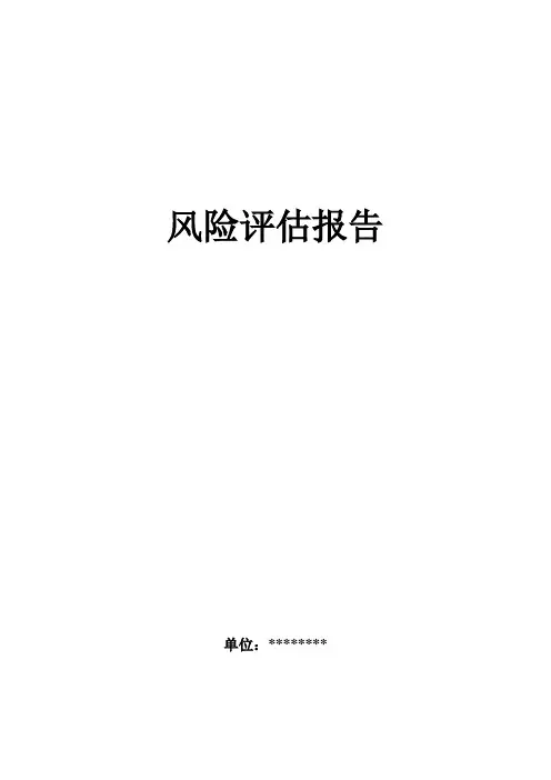 风险评估报告