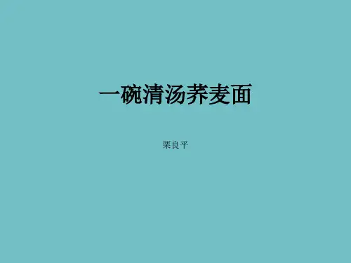 一碗清汤荞麦面 PPT  语文