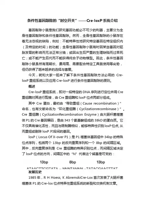 条件性基因敲除的“时空开关”——Cre-loxP系统介绍