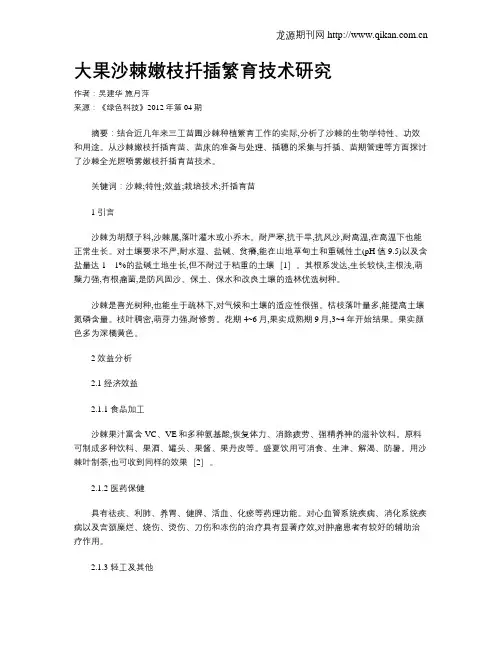 大果沙棘嫩枝扦插繁育技术研究