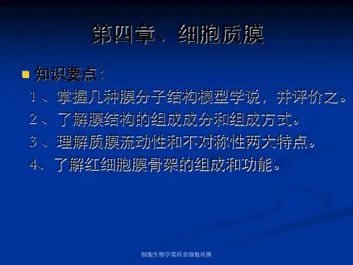 细胞生物学第四章细胞质膜