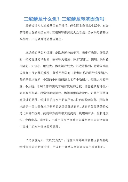 三道鳞是什么鱼？三道鳞是转基因鱼吗