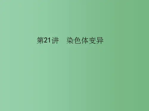 高考生物一轮复习 第七单元 生物的变异、育种和进化 第21讲 染色体变异