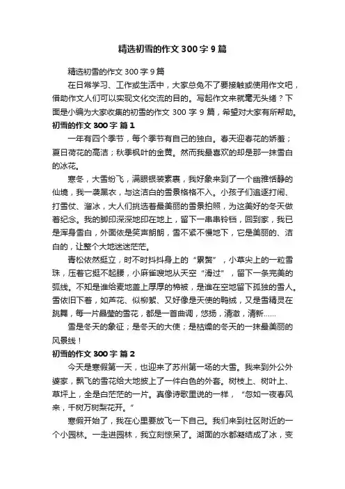精选初雪的作文300字9篇