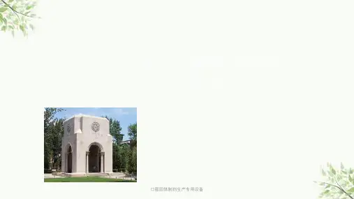 口服固体制剂生产专用设备课件