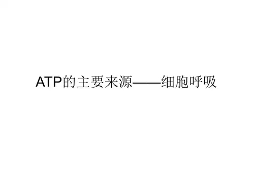 ATP的主要能量来源原