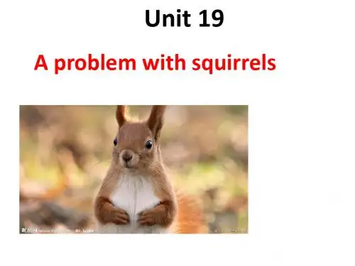 青少版新概念2BUnit19Aproblemwithsquirrels
