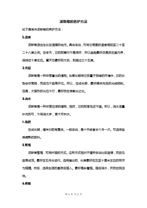 波斯菊的养护方法