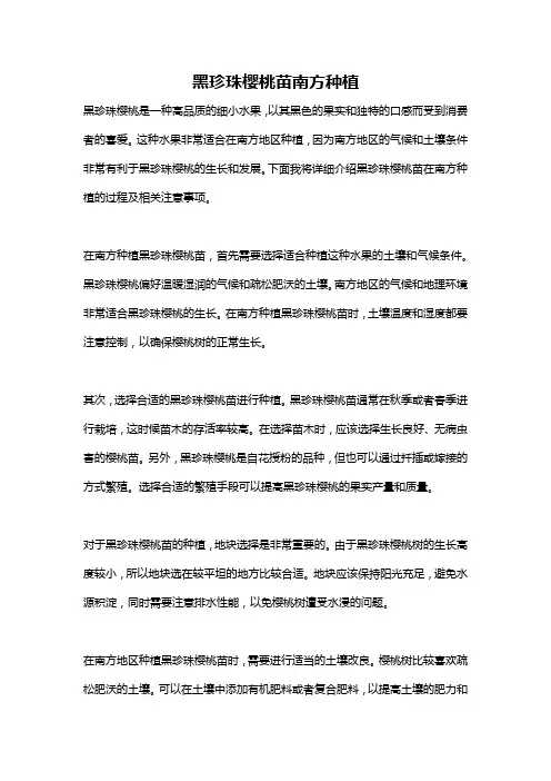 黑珍珠樱桃苗南方种植