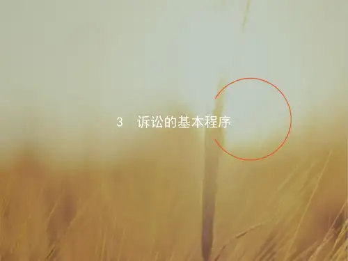 2017-2018学年高二政治选修5课件：6-3诉讼的基本程序 精品