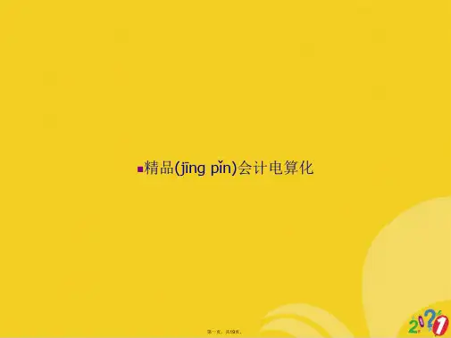 精品会计电算化正式版ppt