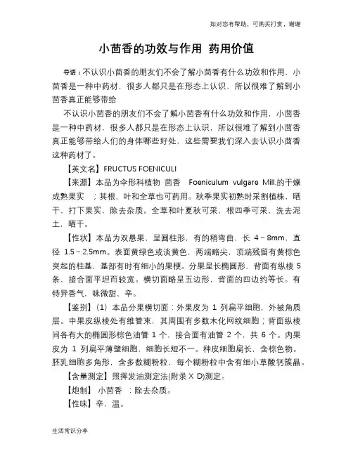 小茴香的功效与作用 药用价值