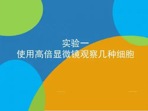 实验一：使用高倍显微镜观察几种细胞