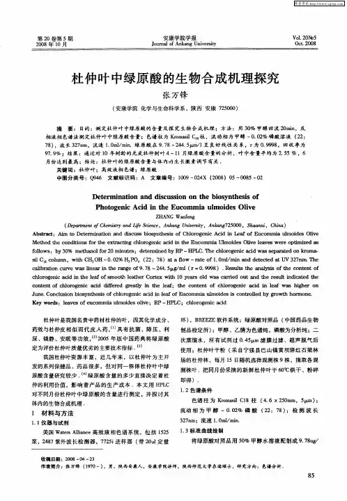 杜仲叶中绿原酸的生物合成机理探究