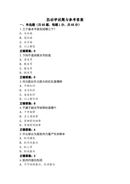 肌动学试题与参考答案