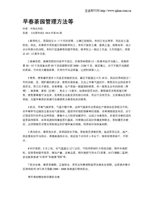 早春茶园管理方法等