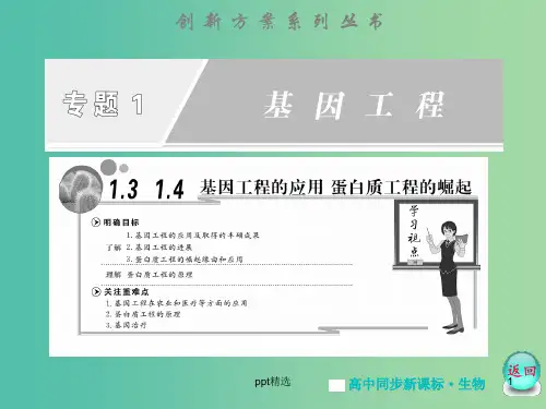 高中生物 专题1 1.3,1.4基因工程的应用  蛋白质工程的崛起课件 苏教版选修3
