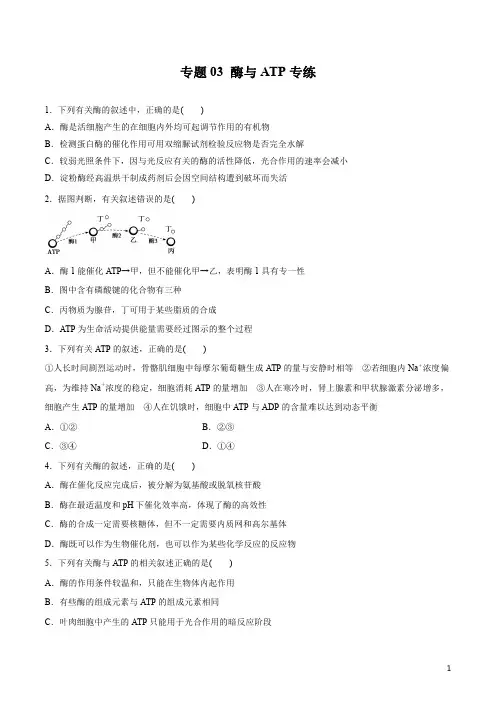 生物知识清单-专题03 酶与ATP(原卷+解析版)(1)