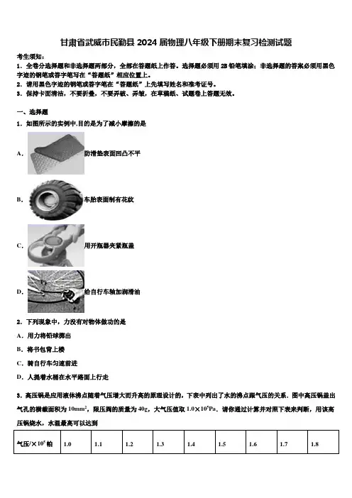 甘肃省武威市民勤县2024届物理八年级下册期末复习检测试题含解析