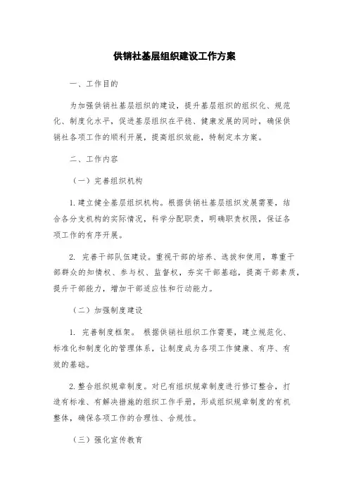 供销社基层组织建设工作方案