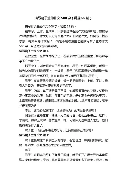 描写君子兰的作文500字（精选55篇）