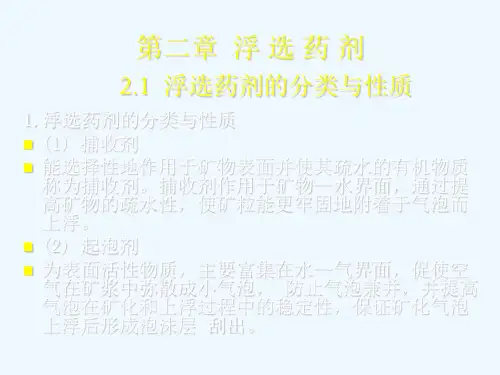 浮选药剂安徽理工