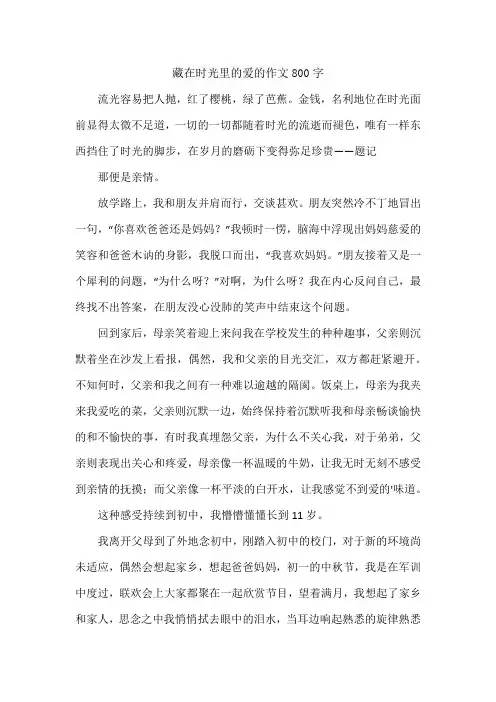 藏在时光里的爱的作文800字