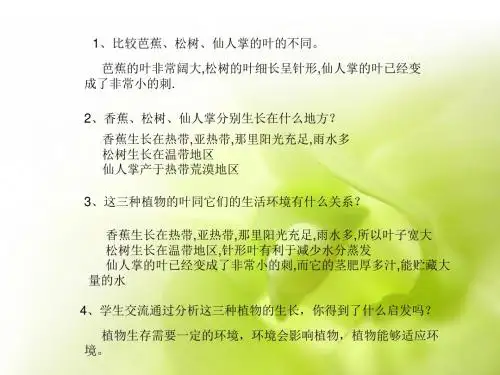 教科版科学五年级上册4.蚯蚓的选择