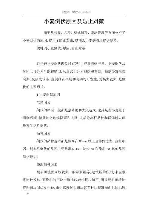 小麦倒伏原因及防止对策