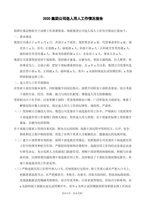2020集团公司选人用人工作情况报告