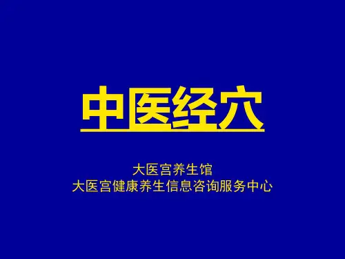 中医经穴-任脉-陈炳乐