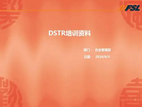 DSTR培训资料