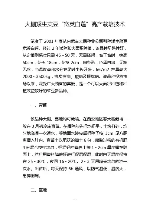 大棚矮生菜豆“宽荚白莲”高产栽培技术