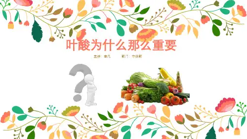 人体内的叶酸循环