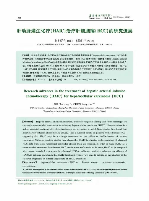 肝动脉灌注化疗(haic)治疗肝细胞癌(hcc)的研究进展