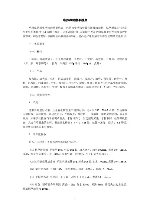 草履虫的培养观察