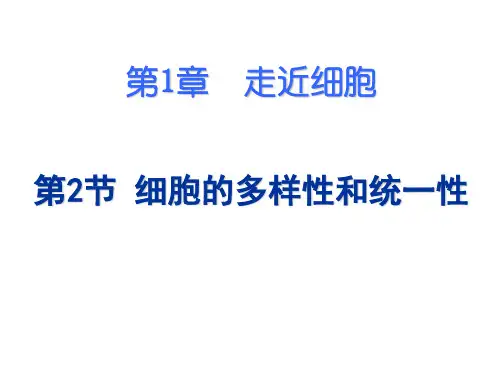 高中生物课件-1.2正式显微镜使用