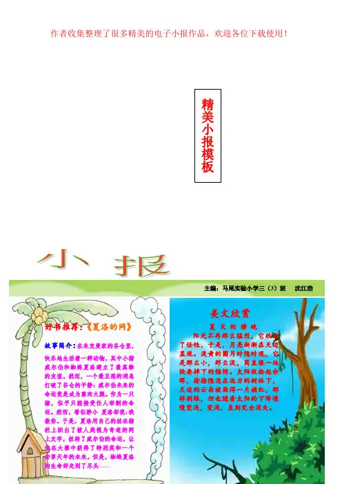 可编辑精美word模板50三年级暑假读书小报模板制作