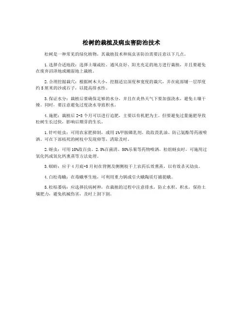 松树的栽植及病虫害防治技术