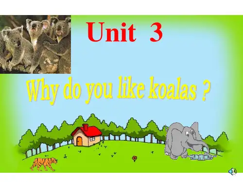 Unit_3_Why_do_you_like_koalas？7777