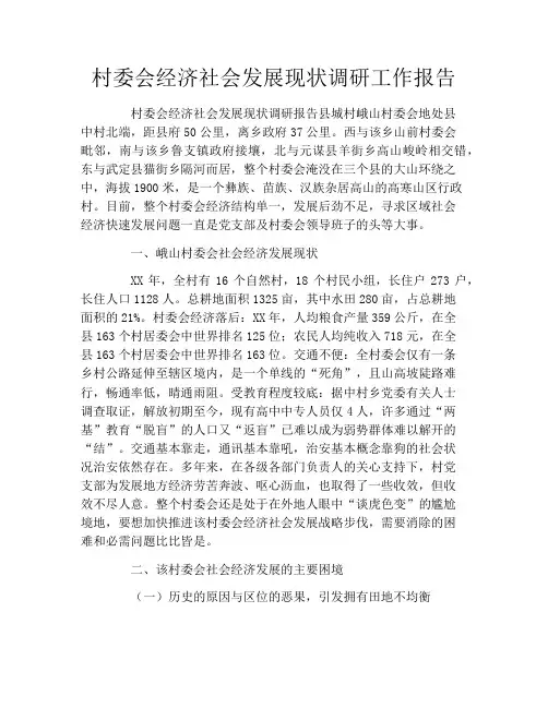 村委会经济社会发展现状调研工作报告