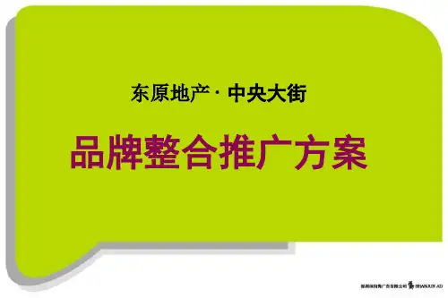 东原地产重庆中央大街品牌整合推广方案