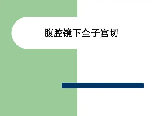 腹腔镜下全子宫切ppt课件