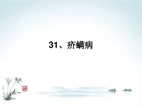 猪疥螨病