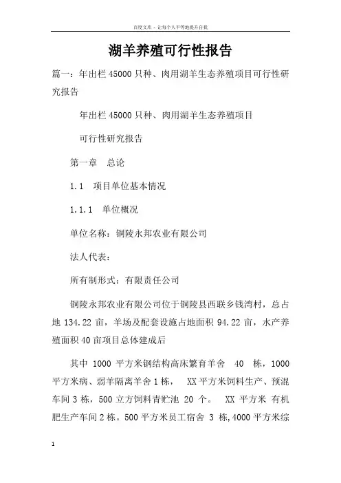 湖羊养殖可行性报告