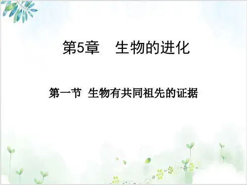 生物有同祖先的证据人教版高中生物必修二课件下载