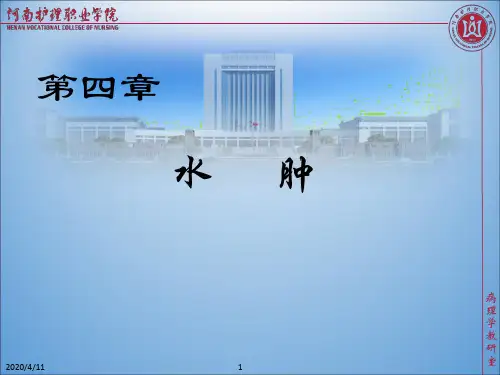 第四章 水肿 ppt课件
