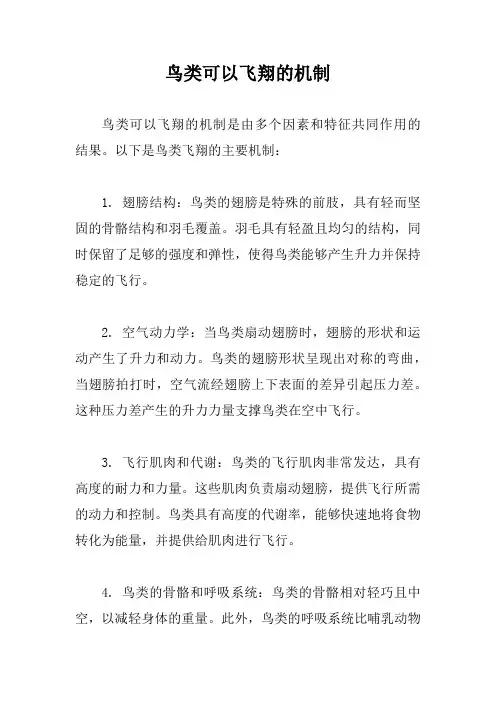 鸟类可以飞翔的机制
