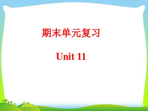 九年级英语人教版课件：期末单元复习 Unit 11(共17张PPT)