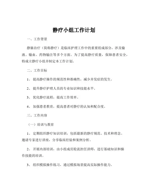 静疗小组工作计划